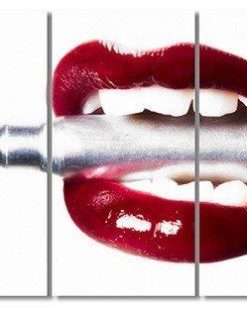 Erik Brede Photography - Bullet Lips Multi Triptych