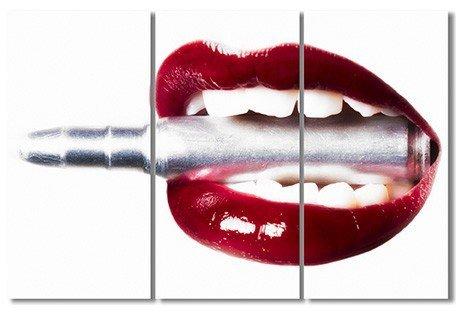 Erik Brede Photography - Bullet Lips Multi Triptych